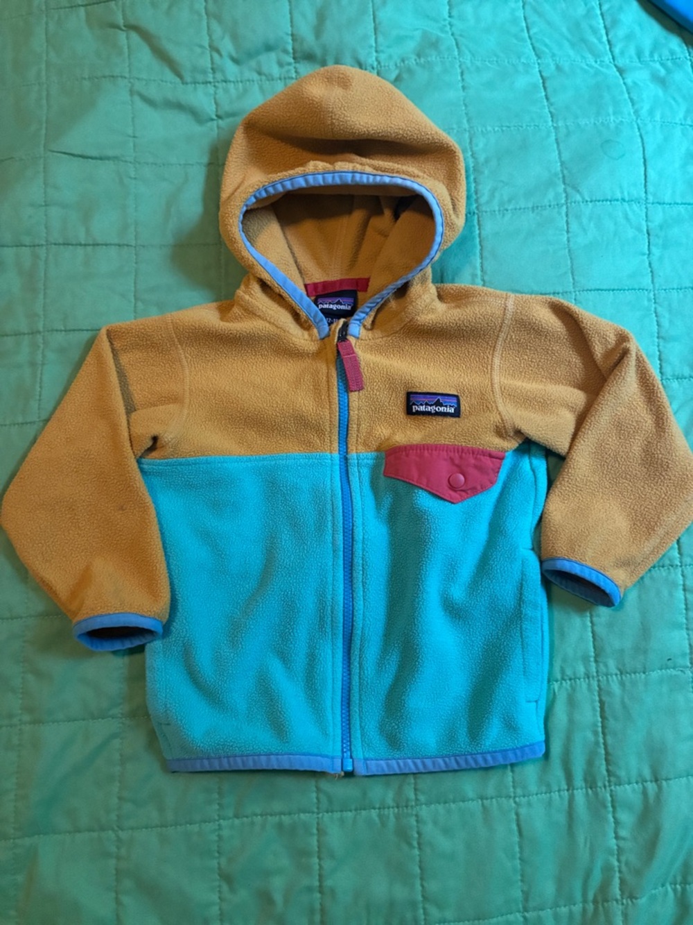 Patagonia Kids Micro D Fleece